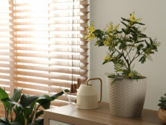 The Best Blinds for Small Spaces: Maximizing Light and Privacy