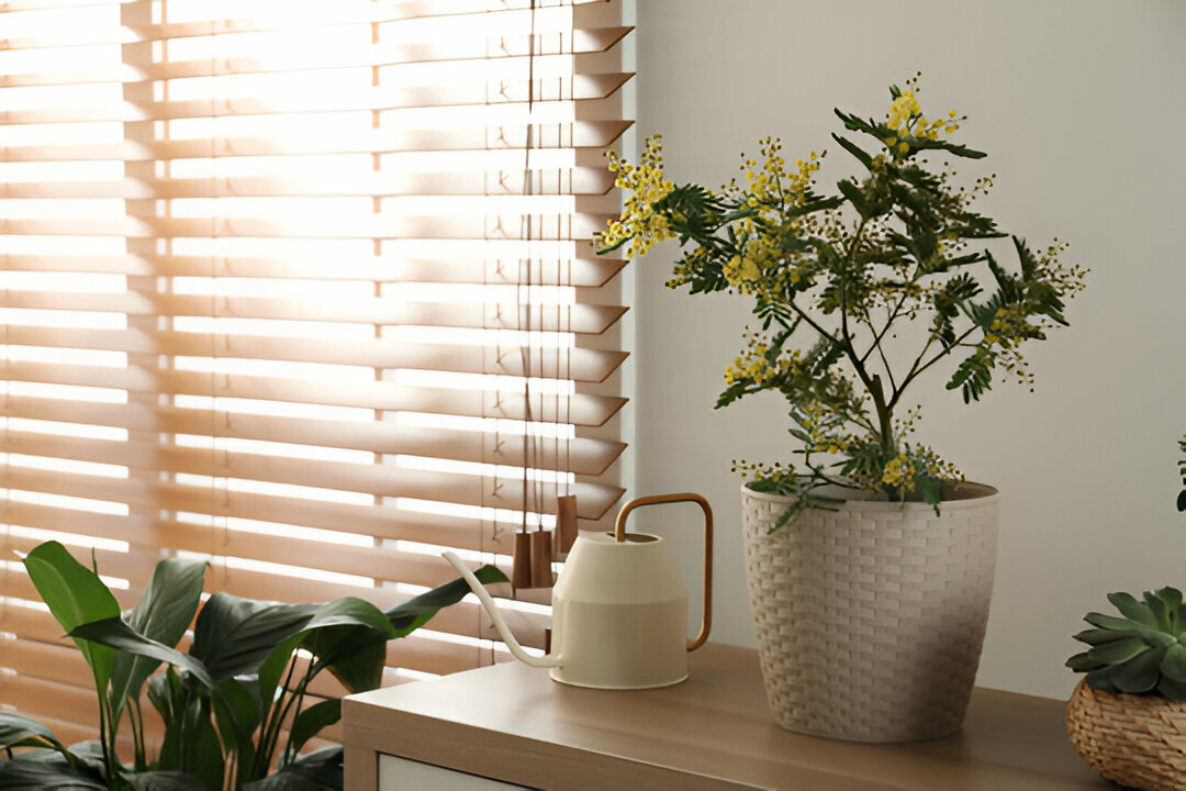 The Best Blinds for Small Spaces: Maximizing Light and Privacy